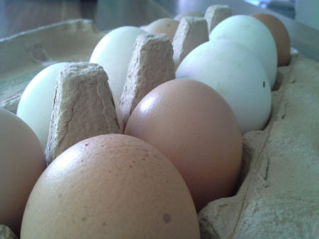 Eier von glcklichen Hhnern