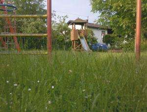 Viel Gras auf dem Spielplatz im Birkenweg